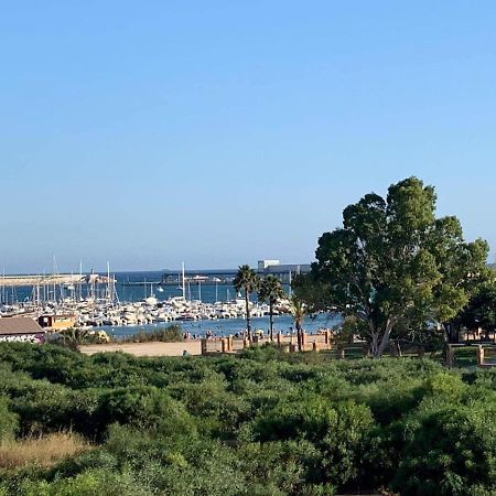 Sea View Torrevieja Lejlighed Eksteriør billede