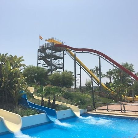 Sea View Torrevieja Lejlighed Eksteriør billede