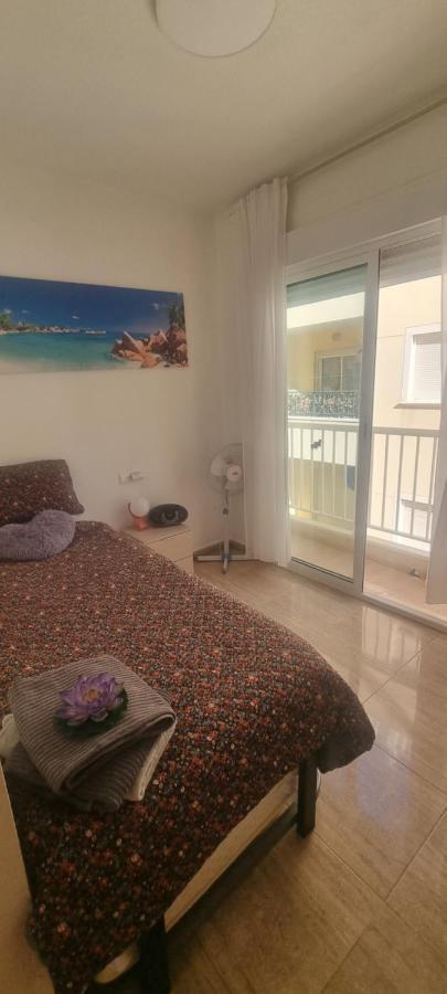 Sea View Torrevieja Lejlighed Eksteriør billede